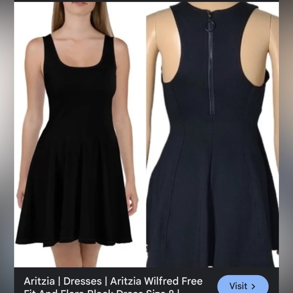 Aritzia Wilfred Free Fit And Flare whimsigoth fringe Size 8 - Picture 1 of 8